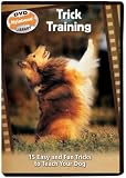 Trick Training: 15 Easy and Fun Tricks to Teach Your Dog