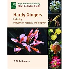 Hardy Gingers: Including Hedychium, Roscoea, And Zingiber