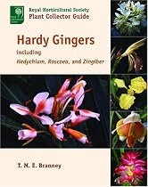 Hardy Gingers: Including Hedychium, Roscoea, and Zingiber