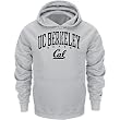 Cal Berkeley Bears Grey Champion Powerblend Hood