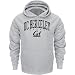 Cal Berkeley Bears Grey Champion Powerblend Hood