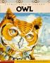 Animal Lore & Legend: Owl