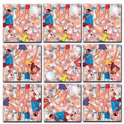 Scramble Squares: Volleyball