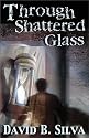 Through Shattered Glass