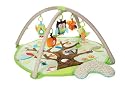 Skip Hop Treetop Friends Activity Gym