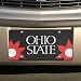 Ohio State Buckeyes Black Mirrored Flower Power License Plate