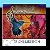 Transmission