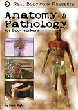 Anatomy & Pathology for Students of Medical Sciences & Healing Arts Video on DVD - Learn Systemic Function & Anatomy, Corresponding Diseases & Disorders, Applicable Bodywork Techniques
