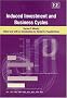 Induced Investment and Business Cycles