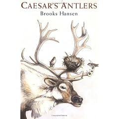 Caesar's Antlers