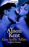 Eine hei�e Aff�re: Erotischer Roman - Alison Kent