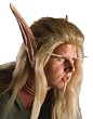 Blood Elf World of Warcraft Makeup Kit