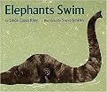 Elephants Swim (Paperback)