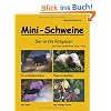 Mini-Schweine