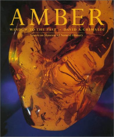 amber window to the past