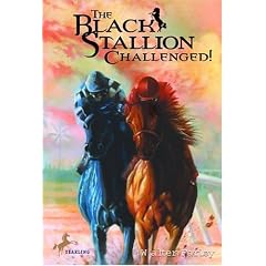 The Black Stallion Challenged