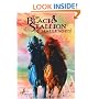 The Black Stallion Challenged