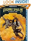 Burning Shaolin (Feng Shui/D20)