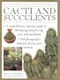 Cacti and Succulents (Illustrated Encyclopedia)