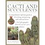 Cacti and Succulents (Illustrated Encyclopedias)