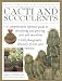 Book Cacti and Succulents (Illustrated Encyclopedias)