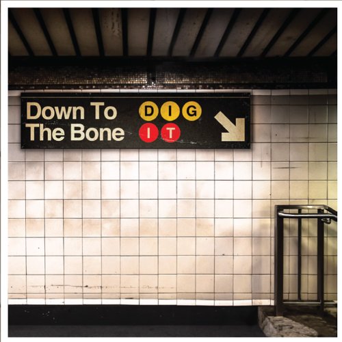 Down To The Bone - Dig It - Zortam Music