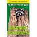 NGEO Pocket Guide to Backyard Wilderness