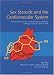 Sex Steroids and the Cardiovascular System: The Proceedings of the 1st Interdisciplinary Workshop, Tuebingen, Germany