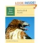 Red-Tailed Hawk (Wild Bird Guides)