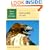 Red-Tailed Hawk (Wild Bird Guides)