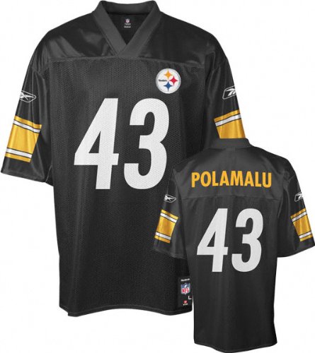 Troy Polamalu Pittsburgh Steelers Black Mid-Tier NFL Youth Jersey (X-Large 18/20)