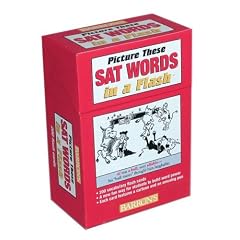 Picture These SAT Words Flashcards