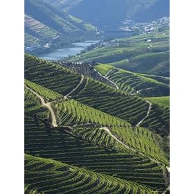 River Douro, Douro Region, Northern Portugal Art Photographic Poster Print by Alan Copson, 18x24
