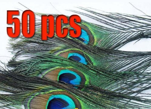 NEW 50 Natural Peacock Tail Feathers,about 26-30cm
