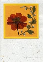 Handmade Greeting Cards with Real Pressed Flowers and Leaves; Orange Cosmos Flower on White Handmade Card Stock; Holiday, Mothers Day, Thank You Card