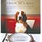 Learn How To Best Care For Your Dog.