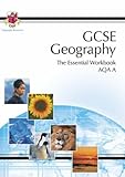 GCSE geography : the essential workbook