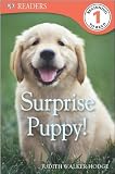 Surprise Puppy (DK READERS)