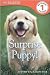Surprise Puppy (DK READERS)