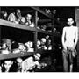 Buchenwald (Prisoners in Bunks) Art Poster Print - 13x19