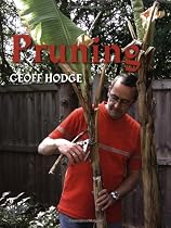 Pruning