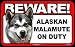 BEWARE Guard Dog on Duty Sign - Alaskan Malamute