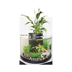 AQUARIUM AQUAPONICS 10 SUPERFISH: Amazon.fr: Animalerie