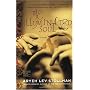 The Illuminated Soul