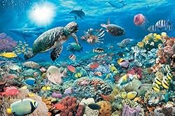 Ravensburger Beneath the Sea - 5000 Piece Puzzle