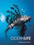 Ocean Life