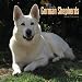 White German Shepherds 2005 Wall Calendar