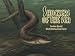 Shockers of the Sea: And Other Electric Animals