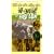 The Fast Lady [1962] [DVD]