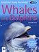 Whales and Dolphins (Kingfisher Young Knowledge)